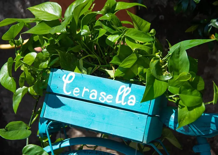 Cerasella Ischia