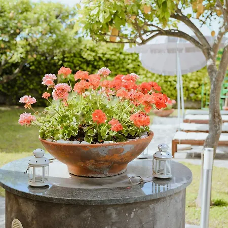 Cerasella Bed and Breakfast