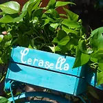 Cerasella 이스키아